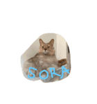 そらふー！（個別スタンプ：1）