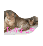 そらふー！（個別スタンプ：7）