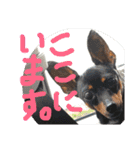りんちゃんが使うスタンプ（個別スタンプ：2）