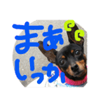りんちゃんが使うスタンプ（個別スタンプ：18）