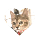招き猫❣️（個別スタンプ：2）