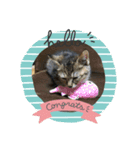 招き猫❣️（個別スタンプ：4）