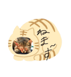 招き猫❣️（個別スタンプ：8）