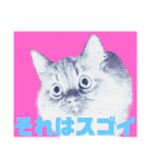 みけとたまの使いづらいスタンプ1（個別スタンプ：7）