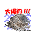 ヒラメ 釣り3（個別スタンプ：6）