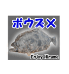 ヒラメ 釣り3（個別スタンプ：8）
