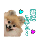 愛犬スタンプ〜マウスver.〜チームA（個別スタンプ：3）