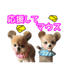 愛犬スタンプ〜マウスver.〜チームA（個別スタンプ：5）