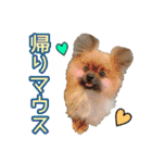 愛犬スタンプ〜マウスver.〜チームA（個別スタンプ：6）