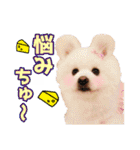 愛犬スタンプ〜マウスver.〜チームA（個別スタンプ：10）