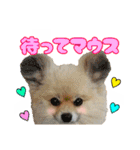 愛犬スタンプ〜マウスver.〜チームA（個別スタンプ：16）