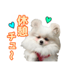 愛犬スタンプ〜マウスver.〜チームB（個別スタンプ：3）