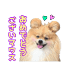 愛犬スタンプ〜マウスver.〜チームB（個別スタンプ：7）