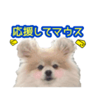 愛犬スタンプ〜マウスver.〜チームB（個別スタンプ：11）