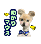 愛犬スタンプ〜マウスver.〜チーム C（個別スタンプ：9）