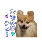 愛犬スタンプ〜マウスver.〜チーム C（個別スタンプ：16）