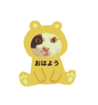 2匹の猫達（個別スタンプ：2）