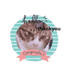 2匹の猫達（個別スタンプ：3）