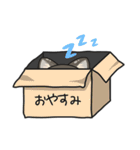 This is a cat[JP]（個別スタンプ：40）