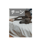 アズ＆クロの日常☺（個別スタンプ：4）