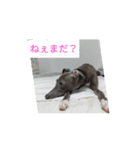 アズ＆クロの日常☺（個別スタンプ：5）