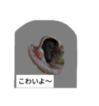 アズ＆クロの日常☺（個別スタンプ：9）