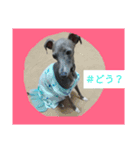 アズ＆クロの日常☺（個別スタンプ：15）