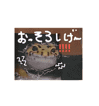 癒しのレオパ（個別スタンプ：5）
