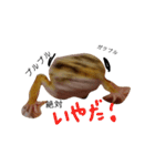 癒しのレオパ（個別スタンプ：13）
