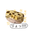 癒しのレオパ（個別スタンプ：18）