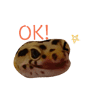 癒しのレオパ（個別スタンプ：23）