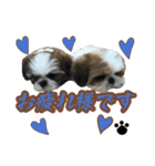 ひめのおうち（個別スタンプ：2）