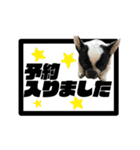 ひめのおうち（個別スタンプ：4）