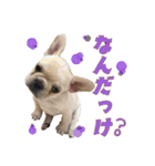 ひめのおうち（個別スタンプ：8）