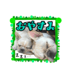 ひめのおうち（個別スタンプ：9）