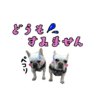 ひめのおうち（個別スタンプ：11）
