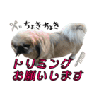 ひめのおうち（個別スタンプ：13）