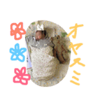 ひーたん＆こじ2（個別スタンプ：12）