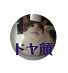 ねっしースタンプ（個別スタンプ：5）