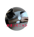 ねっしースタンプ（個別スタンプ：8）