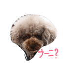 Ms Marine（個別スタンプ：1）