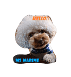 Ms Marine（個別スタンプ：3）
