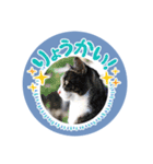 桜山の連蔵さん（個別スタンプ：6）