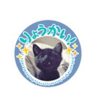 桜山の連蔵さん（個別スタンプ：7）