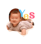 ひなたスタンプ..（個別スタンプ：3）