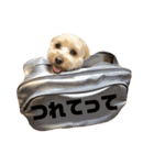 もんじスタンプ（個別スタンプ：17）