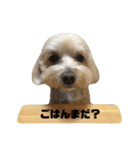 もんじスタンプ（個別スタンプ：34）