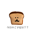 とりあえずよく使うシリーズ(食パンさん1)（個別スタンプ：5）