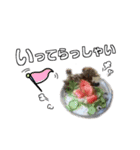 くまき食堂あいさつ（個別スタンプ：7）