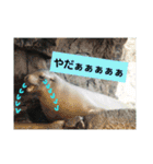 水族館な仲間達（個別スタンプ：2）